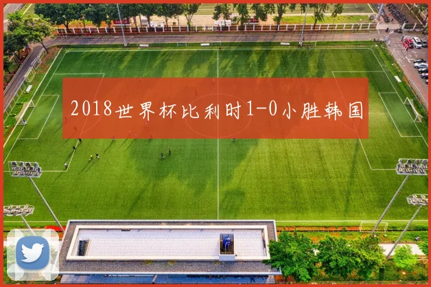 2018世界杯比利时1-0小胜韩国