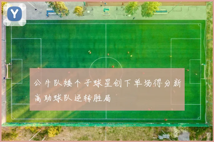 公牛队矮个子球星创下单场得分新高助球队逆转胜局