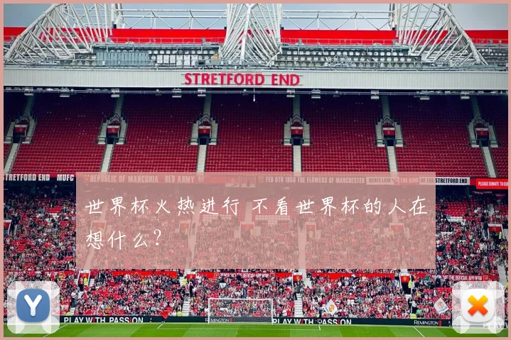 世界杯火热进行 不看世界杯的人在想什么?